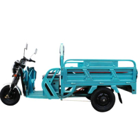 Factory customization Cargo 3 Wheels big 60V 1000W triciclo electrica Electric Tricycles for Adult