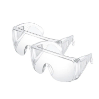 【BONum 博紐】全透明護目鏡10入 防飛沫 抗刮 眼鏡(病毒 酒精 口罩 次氯酸)