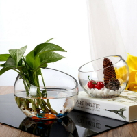 加厚斜口玻璃花瓶  微景觀透明多肉花盆花瓶