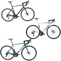 【COLNAGO】可樂果 V3碟煞碳纖維公路