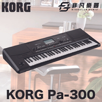 【非凡樂器】KORG Pa300 伴奏編曲電子琴 / 公司貨保固