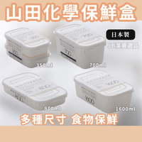日本 山田化學 YAMADA WHITYPACK 保鮮盒 多款 冷凍庫保鮮 [日本製] 肉類收納盒 保鮮 AG5