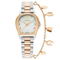 AIGNER AGW.252004 Women's Watches