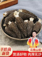 羊肚菌乾貨雲南特產新鮮菌菇羊肚菇野生菌羊肚菌類煲湯旗艦店