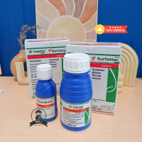 CALARIS 550 SC SURFAKTAN | PAKET PEMBASMI GULMA PADA JAGUNG