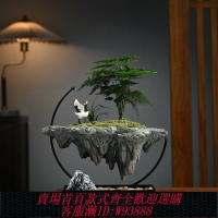 {台灣公司貨 可打統編}懸浮倒山文竹米竹綠植擺件盆栽景觀辦公室內玄關客廳桌面凈化空氣