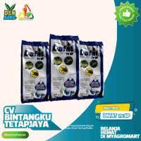 Insektisida DAFAT 75 SP Soluble Powder Putih Untuk Mengatasi Serangga Pada Tanaman Teh, Kelapa, Toma