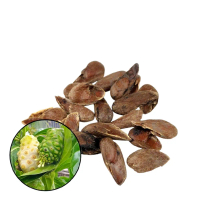 10 Biji Benih Mengunduh Unggul untuk Tumbuhan Berkualitas Tinggi dan Hasil Luar Biasa Sayuran pohon 