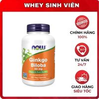 Viên uống bổ não Now Ginkgo Biloba 60mg (240 viên) - Cải thiện trí nhớ và chức năng não bộ