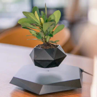 Floating Plant Pot Magnetic Levitating Plant for Air Plants Rotating Air Bonsai Planter Flower Pot Levitating Air Bonsai Pot