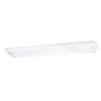 【大巨光】典雅風 附T8 LED 燈管4尺X2 日光燈_T8燈管_LED(LW-12-4812 小燈 耐熱飾條、烤漆鐵板、壓克力罩)