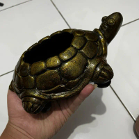 Pot clay karakter hewan kura kura bergaransi