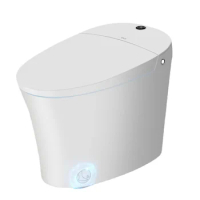 Smart Toilet,Modern Elongated Toilet with Warm Water,Dual Auto Flush,Foot Sensor Operation,Heated Bidet Seat, Heatedt Toilet