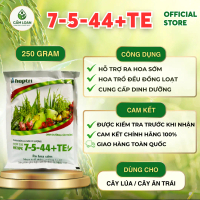 7-5-44+TE 250G  HỢP TRÍ - VÔ GẠO