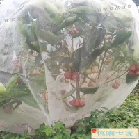 【宜家良品百貨】免運 防鳥網 防蟲網  植物防蟲網罩果樹防蟲放白粉虱防鳥防曬網套蔬菜防果蠅套袋網紗網