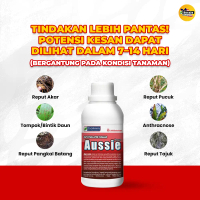 Aussie Original – Baja Kelapa Sawit Merawat Kulat Ganoderma, Bintik Daun & Menguatkan Akar Kelapa Sa