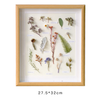 熱賣預購－乾燥花束相框3 植物標本擺飾 掛牆 創意手工復古飾品