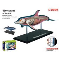 4D Dolphin Intelligence Assembling Toy Animal Organ Anatomy Model Medical Teaching DIY Popular Science Appliances