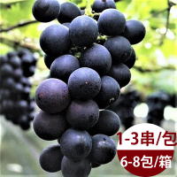 【水果達人】台灣一級巨峰葡萄禮盒6斤x1箱(1-3串/包)