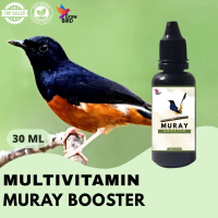 Vitamin Burung Gacor 30 ml Untuk Muray Vitamin Penggacor Burung Rekomendasi Burung Kicau