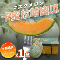 （溫室農場快速出貨）卡蜜拉橘肉哈密瓜大果2入禮盒