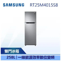 【SAMSUNG 三星】258公升 極簡 雙門冰箱 SAMSUNG冰箱 (RT25M4015S8/TW)