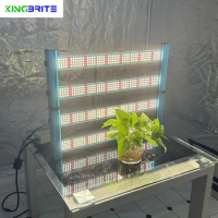 New KingBrite 240W LM301H / LM281B + Epistar 660nm UV IR Full Spectrum Led Grow Light Bar