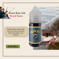 Essen ikan lele babon rame paling gacor, essen ikan lele paling gacor royal essen