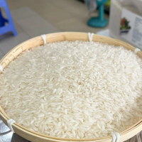 10Kg Gạo 504 tơi xốp – nở nhiều