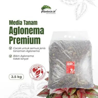 Media Tanam Aglonema Fermentasi Media Tanam Premium 2,5KG BY PLANTERIA.ID Tanah Tanaman