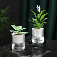 2021新款客廳懶人綠蘿植物自動吸水小花盆透明水培塑料自水養盆器