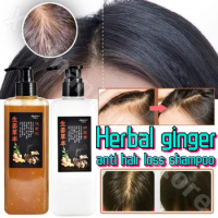 Ginger Anti-hair Loss and Firming Shampoo Relieves Seborrheic and Postpartum Hair Loss Oil Control and Anti-Itching Shampoo