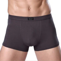 Bamboo Male Panties Sexy Underwear Men Cuecas Boxer New Fashion Boxer Shorts Mens Underware 4pcs/lot Free Shipping