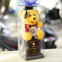 Piala Boneka Wisuda Pooh Kado Wisuda + Box Mika Kado Wisuda