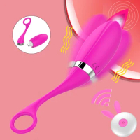 Wireless Remote Control Panties Vibrator Panties Vibrating Egg Wearable Dildo Vibrator G Spot Clitoris Adult Sex toys for Women