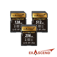 限時★..  Exascend Catalyst V60 高速SD記憶卡 128GB/256GB/512GB 公司貨【全館點數5倍送】【跨店APP下單最高24%點數!!】