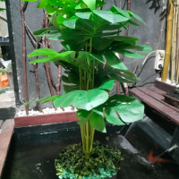 pohon mostera artifisial/pot mostera artifisial tinggi 60cm