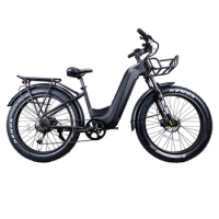 Good Quality High Power Dirt Bike Electric With 750W 1000W Rear Hub Motor mountain bike 26 inch electric bike