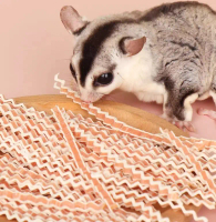 Sugar Glider Slaid Daging Ayam / Sugar Glider Slaid Ikan Daging Ayam / Sugar Glider Chicken Meat Sli