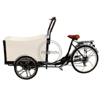 Electric Pedal or Electric Cargo Bike Adult Tricycle Three Wheels Outdoor Mobile Food Cart