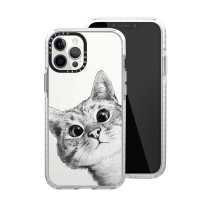 Casetify iPhone 12 Pro Max 耐衝擊保護殼-躲貓貓