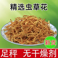內地直送 - 蟲草花乾貨500g特級新鮮煲湯材料商用正品蛹蟲草北蟲草金蟲草花