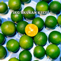 1kg Jeruk sonkit / kasturi / kunci / lemon cui / kalamansi (ukuran kecil)