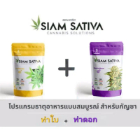 ปุ๋ยsiam sativa สูตร2 กับ สูตร3 (ทำใบ + ทำดอก)