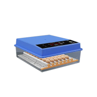 【巧可】全自動孵蛋機器 超大型64枚孵蛋機(孵蛋器 孵化器 敷蛋機 雞鴨鵝鳥類智慧控溫箱)