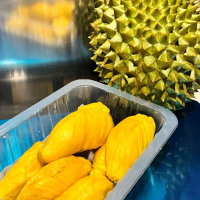3 boxes x D13 Red Prawn Ah Gong Durian bundle boxes [400gm each] dehusked. creamy to sweet note {Sam