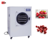 Commercial Candy Dairy Vegetable Egg Food Dehydration Machinery Cold Air Freeze Dryer Freezing Dry Freeze Drying Machine