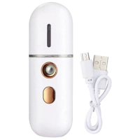 Portable Facial Steamer, Mini USB Facial Humidifier, Nano Facial Sprayer, Handy Face Steamer Mist Spray Machine