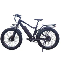 48V 500W 750W 1000W Mountain K800 dual-motor 2-wheel drive Full Suspension Bicycle Electric Bike