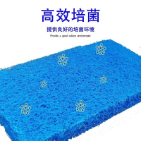 魚池過濾藤棉 加厚滕棉 信友生化棉 魚池魚缸過濾材料濾材培菌氈